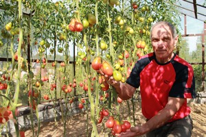 Знакомство с природным земледелием Знакомство с природным земледелием