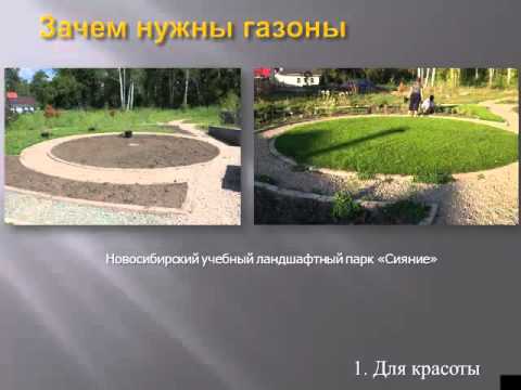 газоны, грядки на дернине (лекция - Новосибирск)