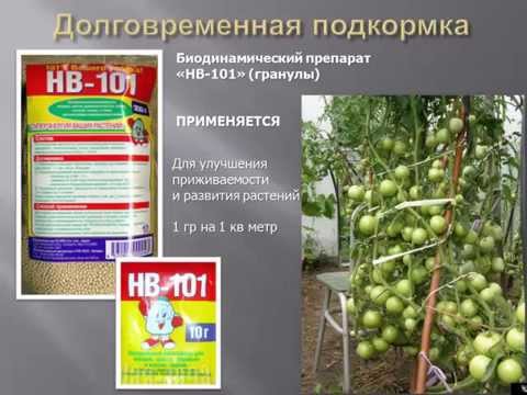 Биопрепараты на садовом участке. Видеолекция. Новосибирск