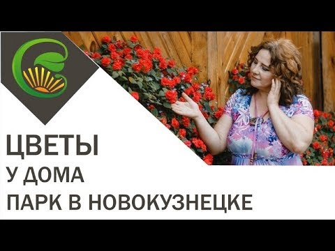 Цветы у дома  Парк в Новокузнецке