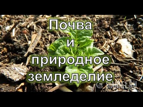 Почва и природное земледелие
