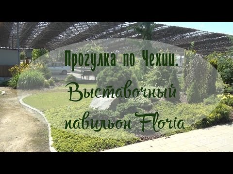 Чехия павильон Floria