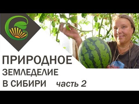 Природное земледелие в Сибири Часть 2