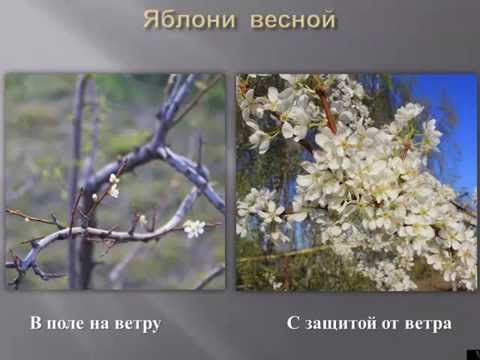 защита от ветра (лекция - Новосибирск)