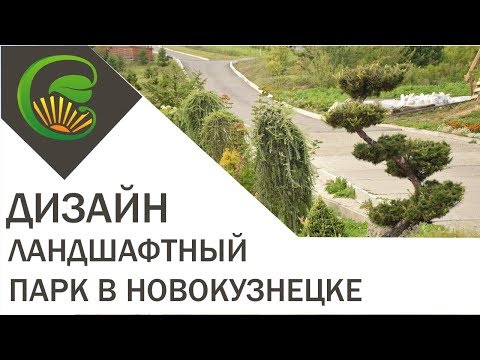 Ландшафтный дизайн Парк в Новокузнецке