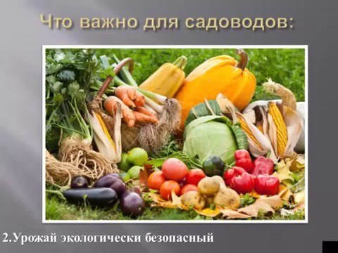 природное земледелие (лекция - Новосибирск)