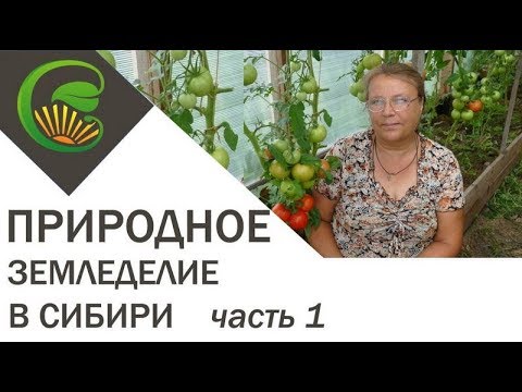 Природное земледелие в Сибири