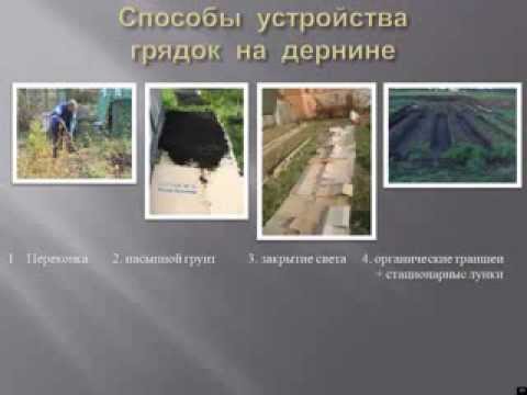 Грядки на дернине, видеолекция, Новосибирск
