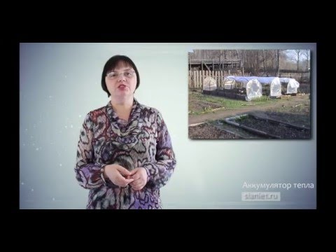 Аккумуляторы тепла на садовом участке (видеоурок)