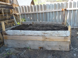 kompost-11.jpg