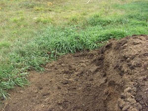 kompost-1.jpg