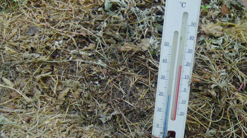Градусник для земли. Тепловой режим почвы. Измерение температуры почвы. Прогревание почвы весной. Температурный режим почвы.