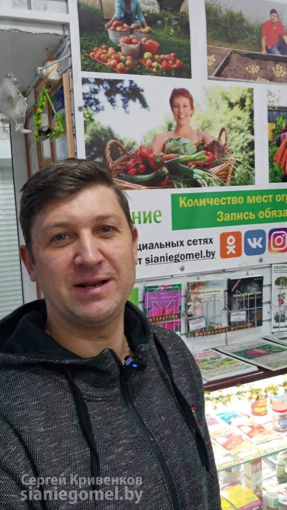 Сладкий перец - Сияние-Гомель